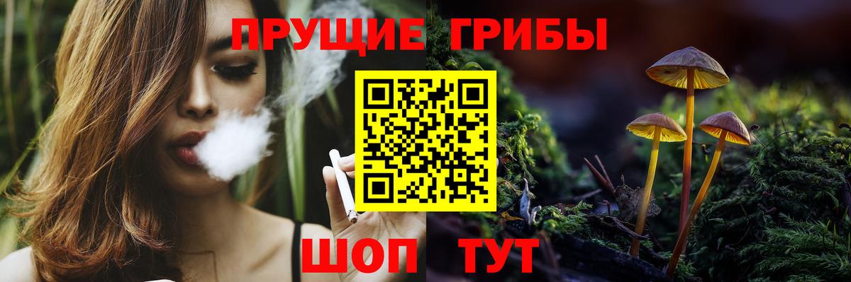 Саратов  Псилоцибиновые грибы Magic Shrooms  Вход с VPN 